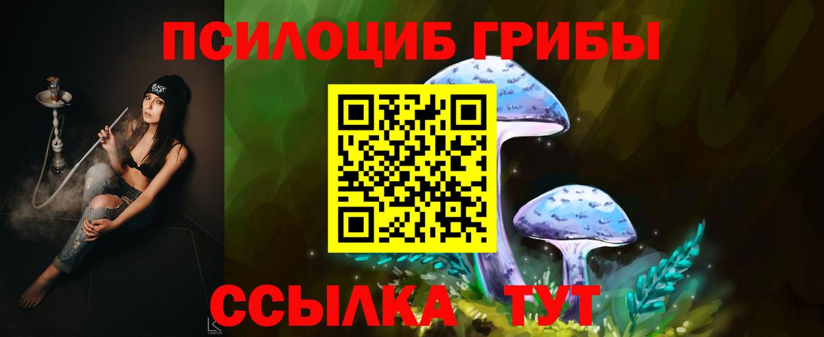 Галлюциногенные грибы прущие грибы  Вход с VPN  Ярцево 